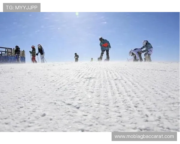 云顶国际官网入口手机版：最新登录方式与安全保障详解
