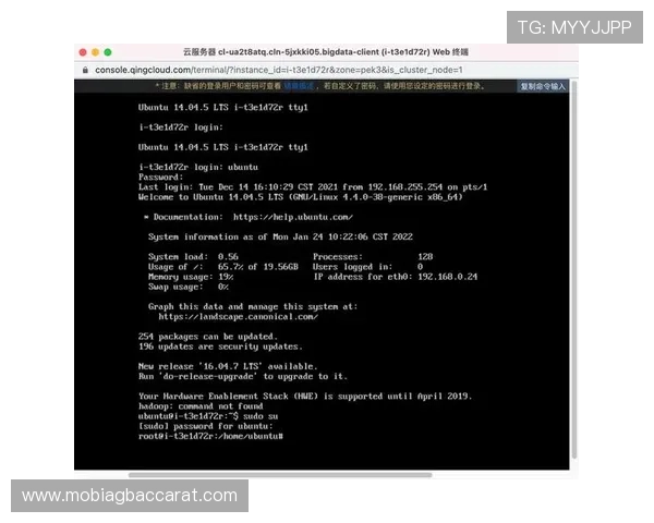 ob真人app官网官方入口，提供最新登录地址与详细操作流程指南