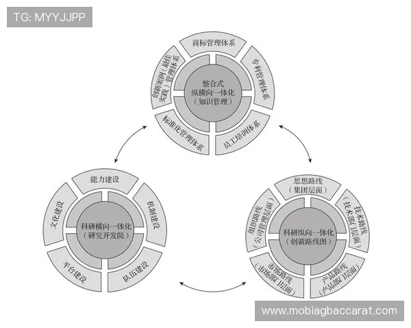 视讯官网：未来视讯行业的发展趋势与官网建设的创新方向